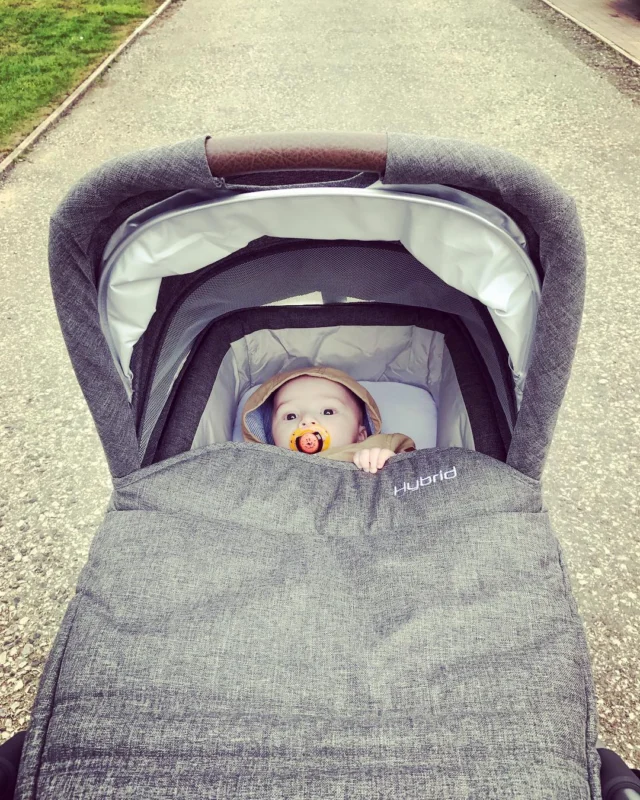 #hybrid #babystyle #carrycot #pushchair