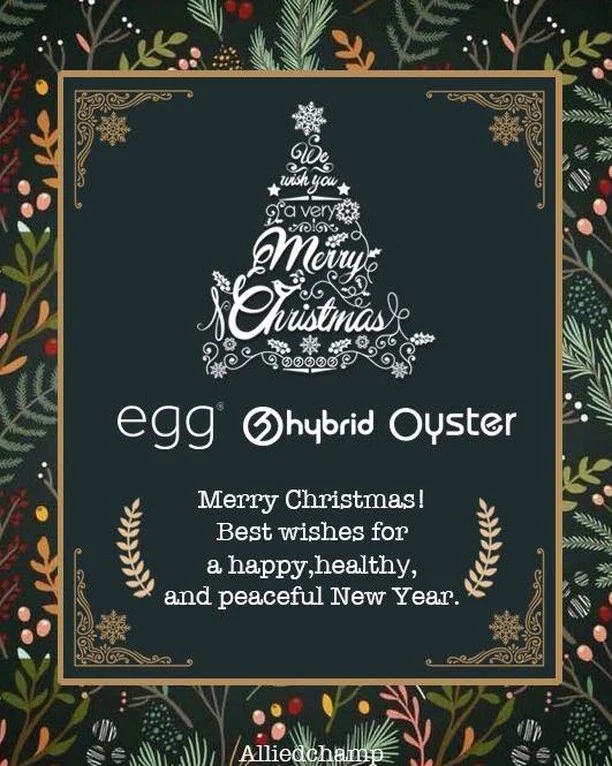 Merry Christmas to you, and every mum and dad in the world. #merrychristmas #hybridstroller  #babystyleuk